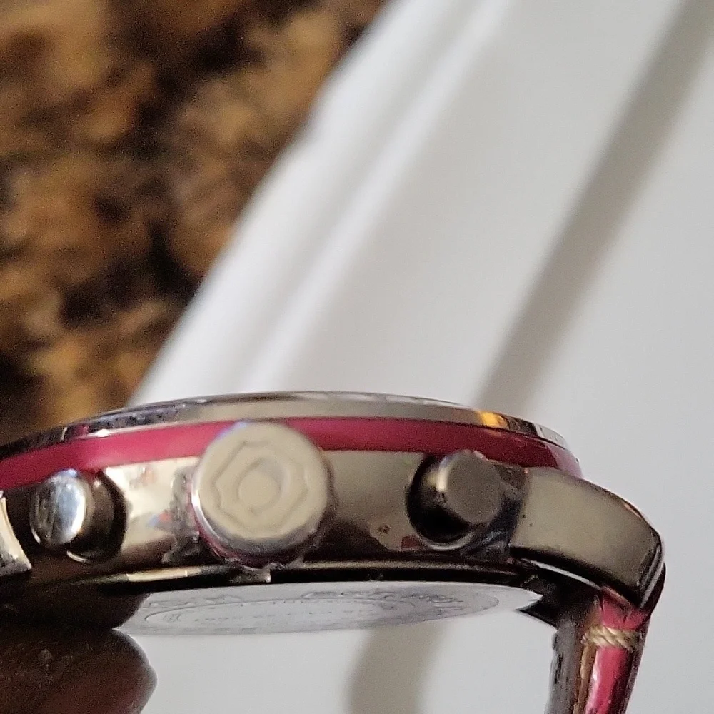 Coach Watch - Picture 4 of 6